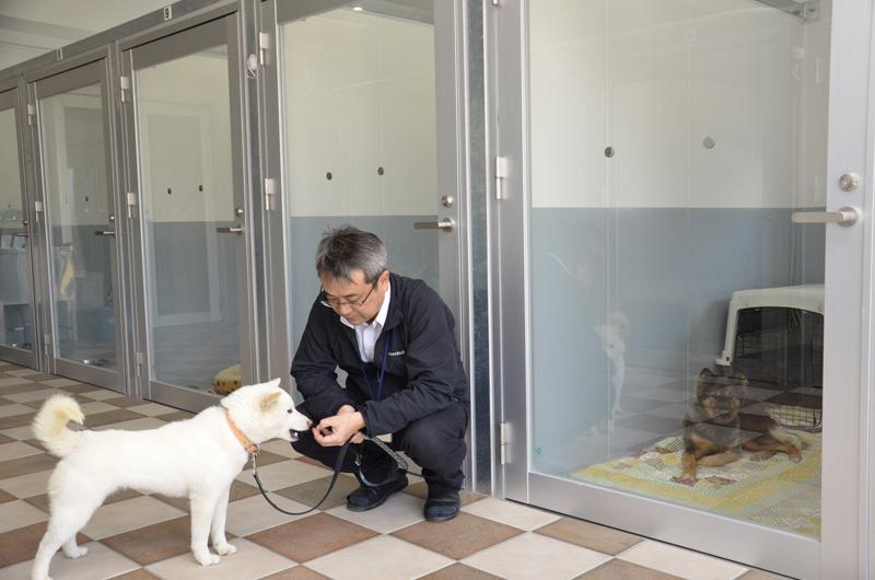 助けて わんにゃん 高知の動物愛護を追う 37 徳島県愛護管理センター 高知新聞