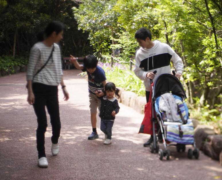 ４コマで育児描く 高知市在住４児の母 インスタで人気 ２巻同時刊行 高知新聞