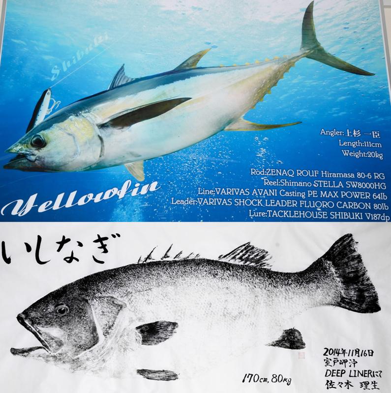 釣辞苑 ぎょたく 魚拓 高知新聞