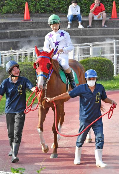 高知競馬に10年ぶり高知県出身騎手 17歳の井上さんデビュー 高知新聞