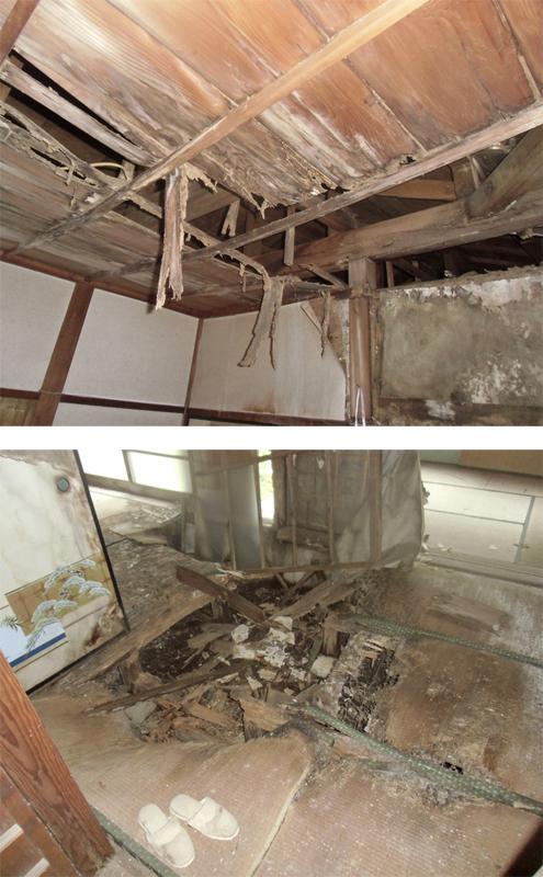 危険空き家 高知県内４２件撤去 特措法５年 交渉難航案件も | 高知新聞